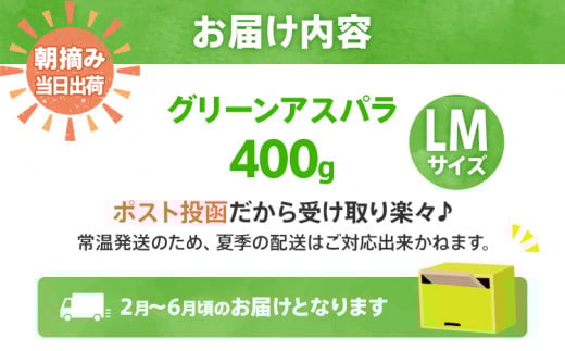 数量限定 先行予約 LMサイズ 400g お試しサイズ　朝採り 朝採れ 直送 グリーンアスパラガス アスパラ【2月〜6月お届け】 BT12