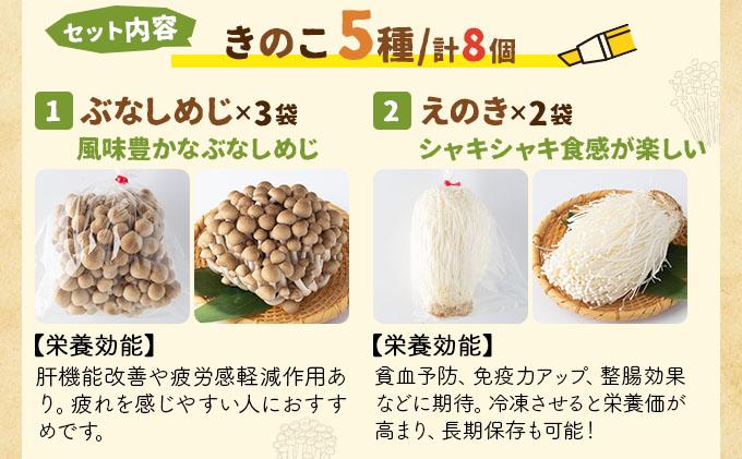 大木町きのこ食べつくしセット AZ03