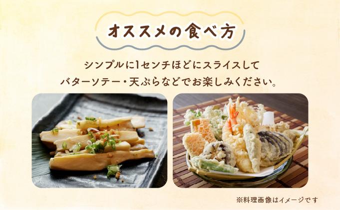 珍しいきのこ 王リンギ5パック  AT18