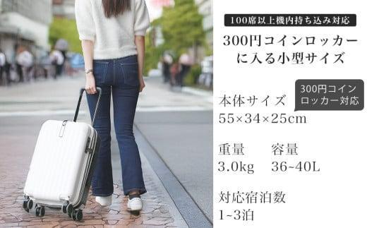 【先行予約品】[PROEVO]ファスナーキャリー スーツケース ストッパー付き 機内持ち込み Sサイズ (エンボス/サンドベージュ) [10002S] 福岡県 大木町 株式会社 レクサス AY337-01 1月：エンボス/サンドベージュ