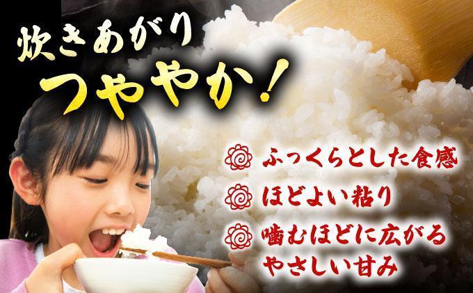 【12ヶ月定期便】福岡県産米 元気つくし 15kg 令和7年産 ※北海道・沖縄・離島は配送不可【精米 7年産 国産 福岡県産 お米 ブランド米 15kg げんきつくし】CY013sub12 【12ヶ月定期便】15kg（5kg×3袋）