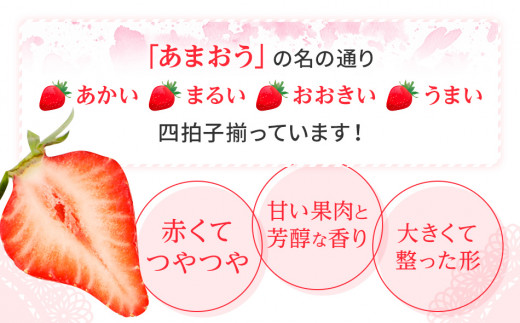 【アフター保証】博多あまおう 福岡県JAグループのブランド あまおういちご 1080g（約270g×4パック）JA福岡大城【2026年2月中旬から順次発送】AG010