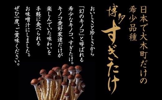 博多すぎたけ　フリーズドライ味噌汁（20食セット）　AU01