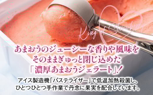 福岡産 濃厚あまおうジェラート 1000ml あまおう イチゴ いちご ジェラート スイーツ 果物 フルーツ アイス お返し プレゼント ストロベリー 南国フルーツ株式会社 CO031