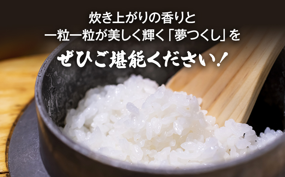 【令和5年産】 福岡県 大木町産 夢つくし 20kg　BC06