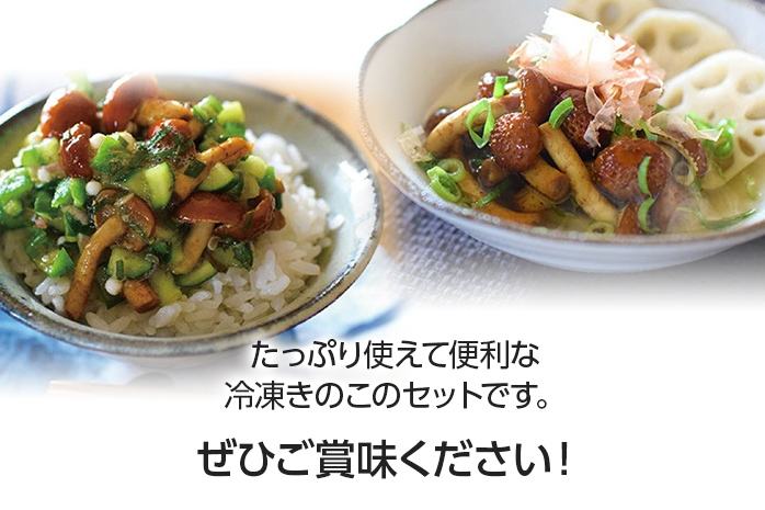 冷凍きのこセット250g×4（博多すぎたけ・しめじ・えのき・