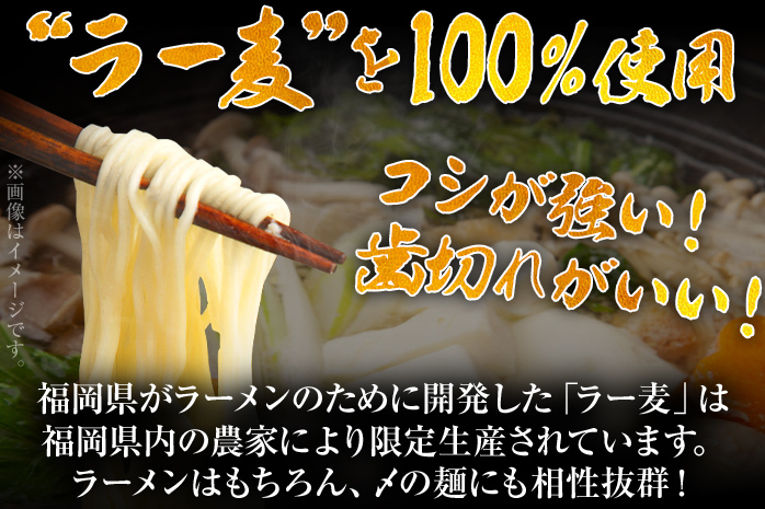 福岡限定 はかた地どり美人水炊きセット 2～3人前 お取り寄