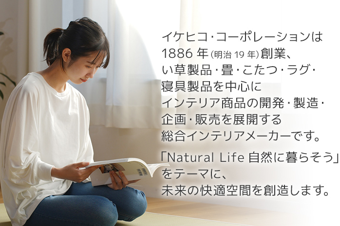 ウィルトンカーペット ネム 80×140ｃｍ ＢＫ イケヒコ・コー