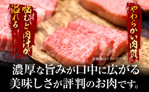 博多和牛焼肉用 500g 黒毛和牛 お取り寄せグルメ お取り寄せ お土産 九州 福岡土産 取り寄せ グルメ MEAT PLUS CP019 500g