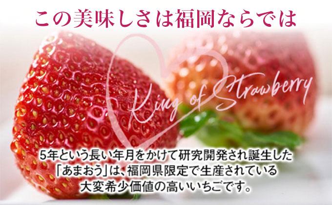 あまおう ギフト箱 約300g 苺 果物 冷蔵 箱入り ギフト 贈り物 送料無料 イチゴ フルーツ ※北海道・沖縄・離島は配送不可 大木町産 南国フルーツ CO005 約300g