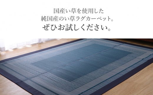 ＤＸランクス（140×200）（色：ネイビー）　AA091