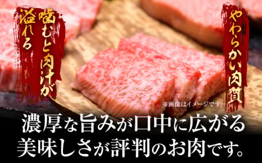 訳あり【A4～A5】博多和牛焼肉切り落とし(肩ロース・バラ）500g 黒毛和牛 お取り寄せグルメ お取り寄せ お土産 九州 福岡土産 取り寄せ グルメ MEAT PLUS CP021 500g