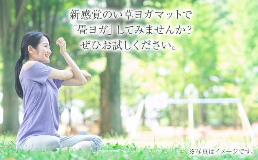 畳ヨガＥＣＯ　ｐｌａｉｎ　　（６６×１８５）（ナチュラル）　AA053