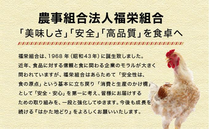 《順次発送》はかた地どり1口チキンカツ　1.8kg|博多 地鶏 鶏肉 ブランド鶏 冷凍 とり肉 鳥肉 惣菜 チキンカツ 簡単調理 CV001