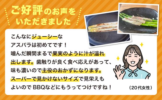 数量限定 先行予約 アスパラ 2Lサイズ 1kg 春芽　朝採り 朝採れ 直送 グリーンアスパラガス アスパラ 【2月～4月お届け】 BT02 春芽【2月～4月お届け】
