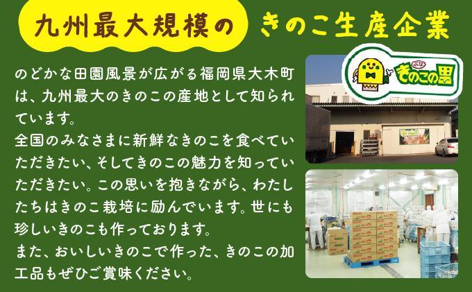 きのこのキムチ2種セット(エノキムチ・シメチャンジャ) 90g×各5パック AT07 5パック