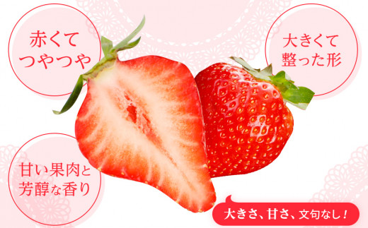 あまおう三昧（フローズンあまおう、あまおうピューレ、あまおうコンフィチュール） BD04