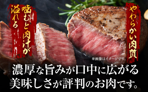 【A4～A5】博多和牛モモステーキ 約500g 黒毛和牛 お取り寄せグルメ お取り寄せ お土産 九州 福岡土産 取り寄せ グルメ MEAT PLUS CP040 約500g（100g×5）