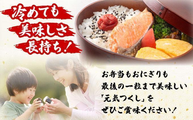 【12ヶ月定期便】福岡県産米 元気つくし 15kg 令和7年産 ※北海道・沖縄・離島は配送不可【精米 7年産 国産 福岡県産 お米 ブランド米 15kg げんきつくし】CY013sub12 【12ヶ月定期便】15kg（5kg×3袋）