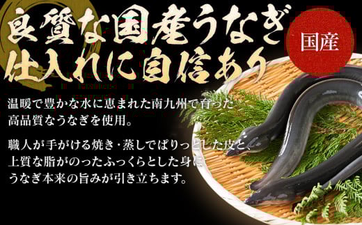 うなぎの特大蒲焼（2尾）230g以上×2尾　AE04 通常受付