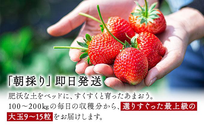 高級あまおうギフト (9～15粒) 400g BD015