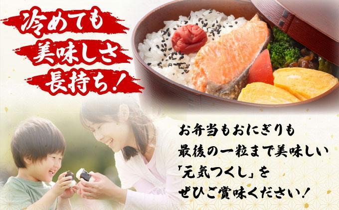 【3ヶ月定期便】福岡県産米 元気つくし 5kg 精米 令和7年産 ※北海道・沖縄・離島は配送不可【精米 7年産 国産 福岡県産 お米 ブランド米 5kg げんきつくし】CY011sub3 【3ヶ月定期便】5kg（5kg×1袋）