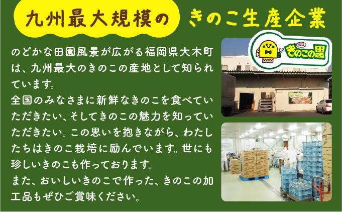 珍しいきのこ 王リンギ5パック  AT18