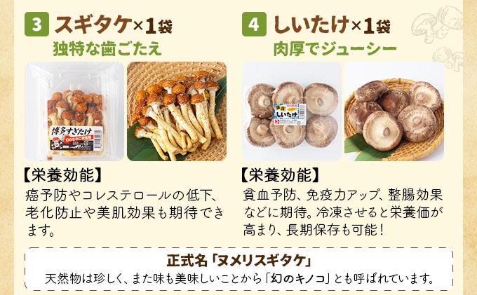 大木町きのこ食べつくしセット AZ03
