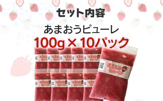 あまおうピューレ100g×10個　BD09