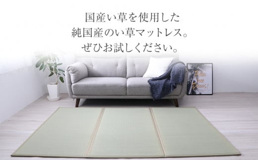 い草マットレス　（100×210）　AA038