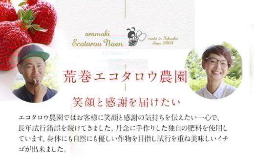 荒巻エコタロウ農園のぜいたく定期便※2026年1月～2月末にかけて3回出荷　BJ08