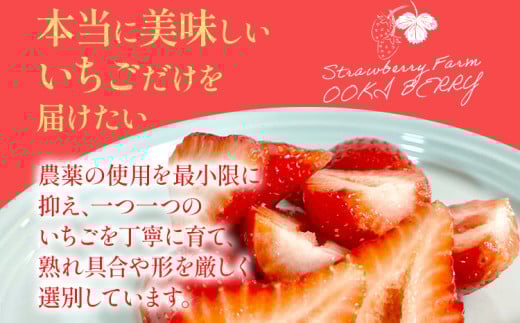 【3回定期便】 期間限定 いちご 苺 3.2kg あまおう（大玉）、4パック×3回（1月、2月、3月）定期便 【2026年1月～3月中に順次出荷予定】 ※北海道・沖縄・離島は配送不可 大木町産 おおきベリー CT002