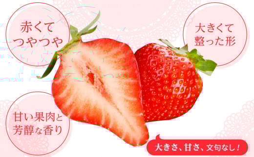 あまおうコンフィチュール120ｇ×5瓶　BD12