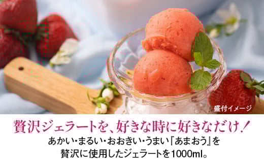 福岡産 濃厚あまおうジェラート 1000ml あまおう イチゴ いちご ジェラート スイーツ 果物 フルーツ アイス お返し プレゼント ストロベリー 南国フルーツ株式会社 CO031