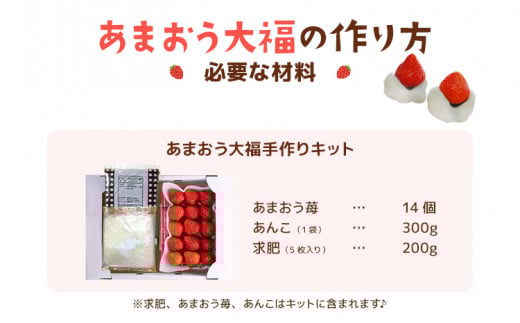 あまおう大福 手作りキット（2セット） 大福 和菓子 セット【2026年1月～4月にかけて順次出荷予定】餡子 あん お菓子 手作り 苺 いちご 大木町 池上農園 BD03 2パック