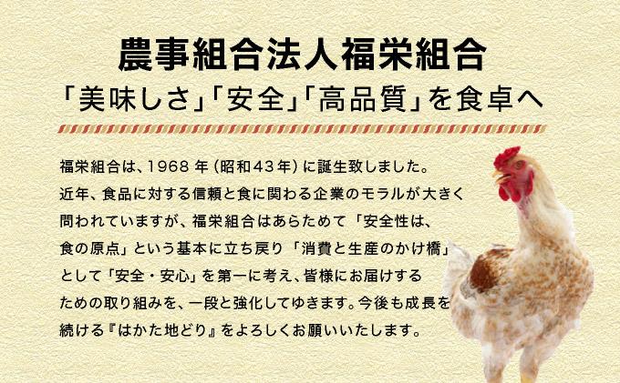 《順次発送》はかた地どり親子丼（冷凍） 5袋|博多 地鶏 鶏肉 ブランド鶏 冷凍 とり肉 鳥肉 惣菜 親子丼 簡単調理 CV009