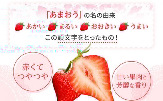 フローズンあまおう1kg(500g×2袋)　BD10 1kg(500g×2袋)