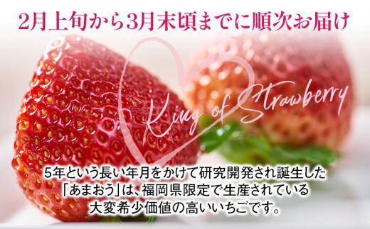 【春】あまおう 約1000g いちご 苺 果物 冷蔵 送料無料 イチゴ ※北海道・沖縄・離島は配送不可 大木町産 南国フルーツ CO003 4パック