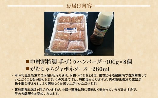 中村屋特製　手づくりハンバーグ（100g×8個　ソース付）　AM001