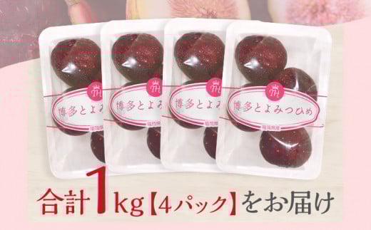 博多とよみつひめ 1,000g（４パック）【2026年8月～10月に発送予定】 CD23
