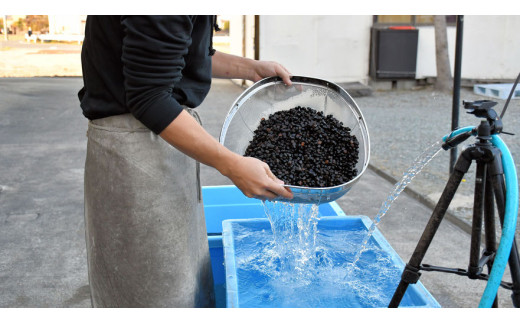 「焼桐つぶ枕」　まくらにお悩みですか? そんな方に、注目