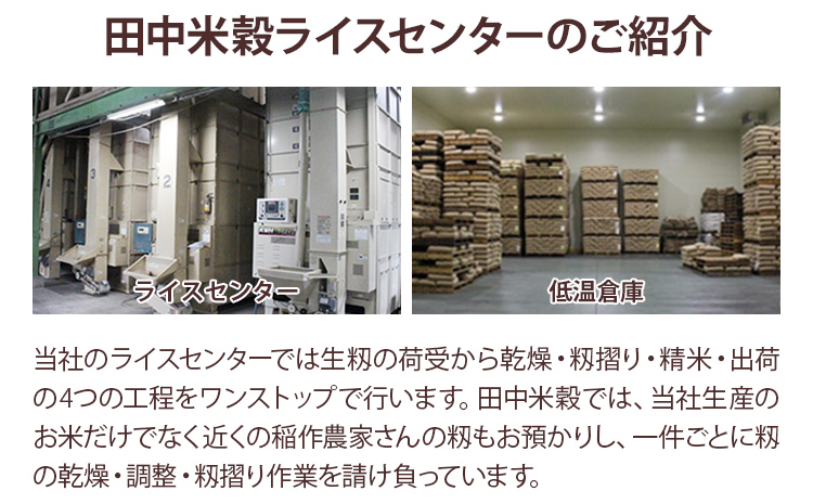【令和5年産】 福岡県 大木町産 ひのひかり 7分づき 10kg　(3