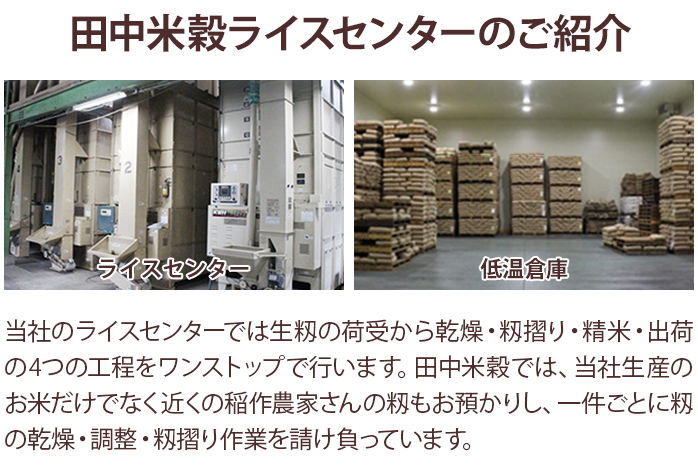 米 無洗米 白米 ご飯 ひのひかり 10kg 令和5年産 無洗米 福岡
