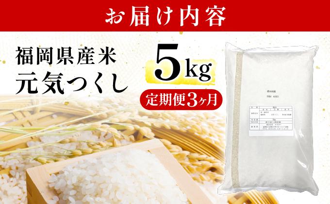【3ヶ月定期便】福岡県産米 元気つくし 5kg 精米 令和7年産 ※北海道・沖縄・離島は配送不可【精米 7年産 国産 福岡県産 お米 ブランド米 5kg げんきつくし】CY011sub3 【3ヶ月定期便】5kg（5kg×1袋）