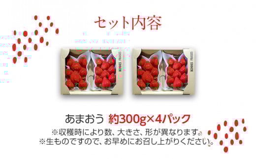 荒巻エコタロウ農園のあまおう約300g×4パック(約1200g)【2026年2月下旬以降順次出荷予定】BJ04