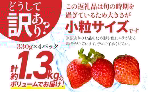 【訳あり】 期間限定 いちご 苺 1.3kg 【訳あり品】あまおう（小玉）、4パック（330g/パック）【2026年3月～4月順次配送】 フルーツ 果物 訳あり 小玉 ※北海道・沖縄・離島は配送不可 大木町産 おおきベリー CT005