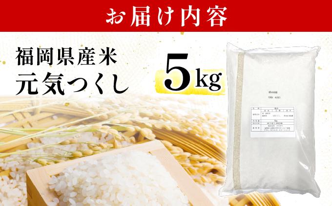 《20営業日内発送》福岡県産米 元気つくし 5kg 精米 令和7年産 ※北海道・沖縄・離島は配送不可【精米 7年産 国産 福岡県産 お米 ブランド米 5kg げんきつくし】CY011 5kg（5kg×1袋）
