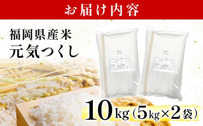 《20営業日内発送》福岡県産米 元気つくし 10kg 令和7年産 ※北海道・沖縄・離島は配送不可【精米 7年産 国産 福岡県産 お米 ブランド米 10kg げんきつくし】CY012 10kg（5kg×2袋）
