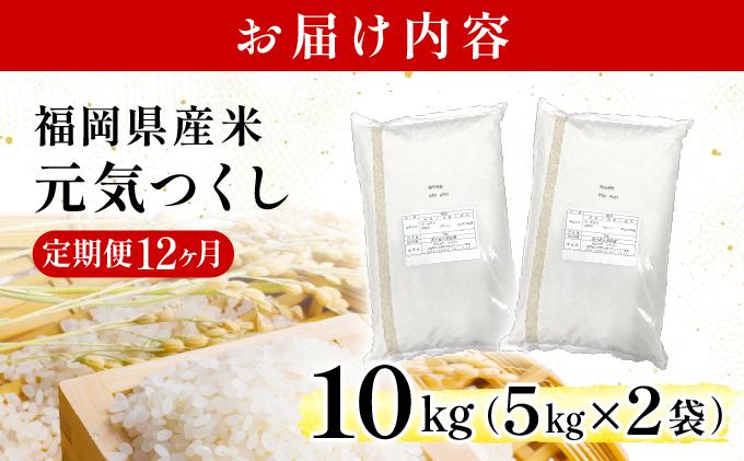 【12ヶ月定期便】福岡県産米 元気つくし 10kg 令和7年産 ※北海道・沖縄・離島は配送不可【精米 7年産 国産 福岡県産 お米 ブランド米 10kg げんきつくし】CY012sub12 【12ヶ月定期便】10kg（5kg×2袋）