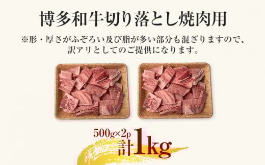 訳あり【A4～A5】博多和牛焼肉切り落とし(肩ロース・バラ）1kg 黒毛和牛 お取り寄せグルメ お取り寄せ お土産 九州 福岡土産 取り寄せ グルメ MEAT PLUS CP022 1kg（500g×2）